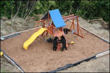 Bear_Playground_001.jpg