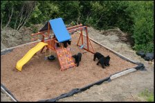 Bear_Playground_002.jpg