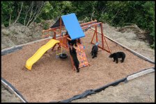 Bear_Playground_003.jpg