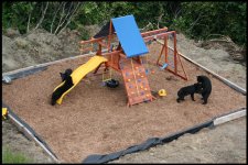 Bear_Playground_004.jpg