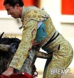 bull vs matador.jpg