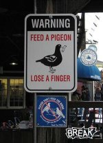 dont feed the birds.jpg