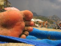 sand covered sole.jpg