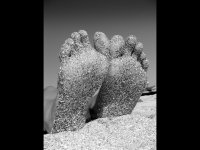 sand covered soles.jpg