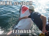 funny-pictures-ticklish-shark.jpg