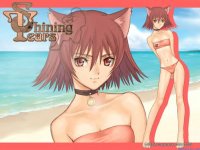 shining-tears-rpgsariuji_com-5.jpg