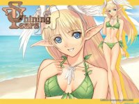 shining-tears-rpgsariuji_com-3.jpg