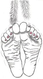 soles.jpg