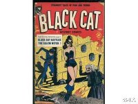 BlackCat_No29.jpg