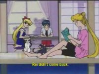 usagi.JPG