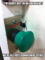 EmergencySpider.jpg