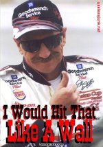 I'd Hit it - nascar.jpg