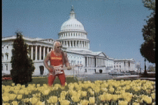 HulkHogan-GuitarMontage.gif