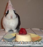 funny-pictures-your-rabbit-wanted-carrot-cake-instead.jpg