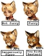 Furry Levels.jpg