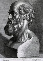 Hippocrates_rubens.jpg