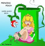 Princess Peach (Color).jpg