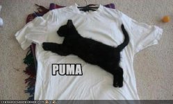 puma.JPG