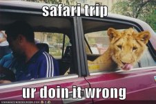 safari trip.JPG