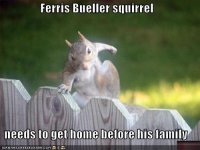 ferris bueller squirel.JPG