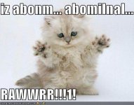 funny-pictures-abominal-snow-kitten.jpg