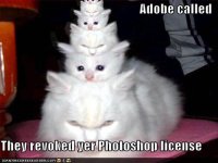 funny-pictures-adobe-photoshop-license-revoked.jpg