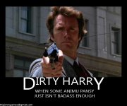 DIRTY HARRY.jpg