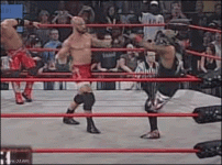 wrestlingfakekickrq8.gif