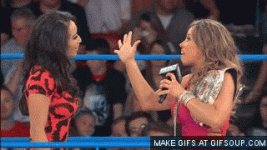 gail-kim-vs-mickie-james-brawl-o.gif