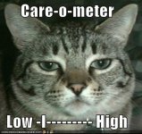 care-o-meter-cat.jpg