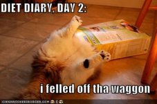 cat-food-box-diet-diary.jpg