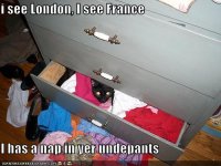 cat-naps-underpants.jpg