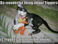 cat-noms-tigger.jpg