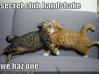 cats-secret-handshake.jpg