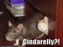 cinderella-rats.jpg