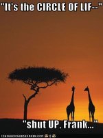 circle-of-life-giraffes.jpg