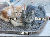 color-grayscale-matte.jpg