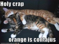 contagious-orange.jpg