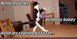 dancing-wb-cat.jpg