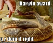 darwin-award-snake.jpg