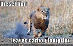 diesel-lion-leaves-a-carbon-footprint1.jpg