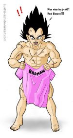 DBZ___Men_in_PINK___Vegeta_by_austral_azn.jpg