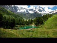 generated_20787441.gif