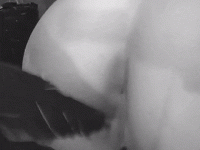 bdsmlr-302580-Cby0uQvzXL.gif