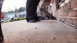 RingVideo_20230416_193908_2.gif