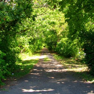 The road is long and dusty winding into the distance