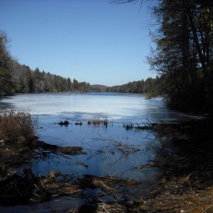 First view of the pond, still somewhat frozen