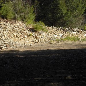 An interesting clearing along the flat part of an easy trail