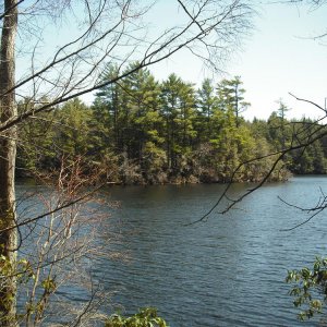 View of one of the center islands from the eastern shore of the pond