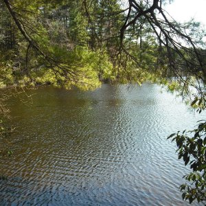 North end of the pond